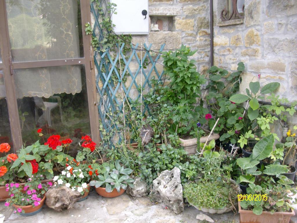 B&B San Nicola Serramazzoni Exterior foto