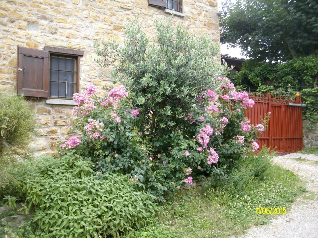 B&B San Nicola Serramazzoni Exterior foto