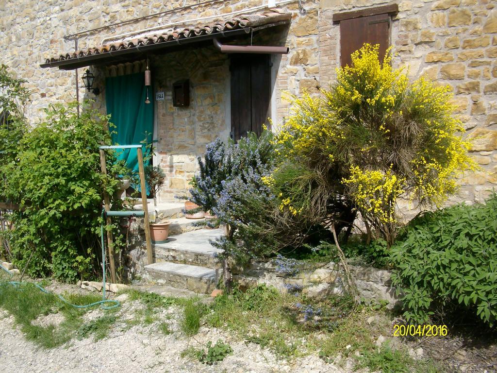 B&B San Nicola Serramazzoni Exterior foto